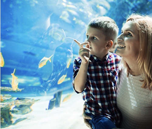 Rainy Day Activities